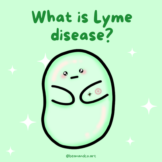 Let's learn about Lyme Disease