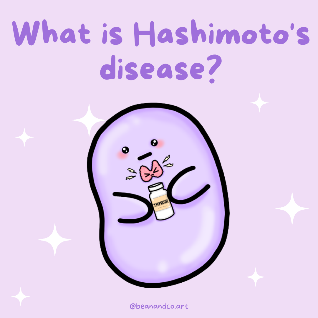 let-s-learn-about-hashimoto-s-disease-beanandco