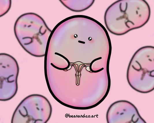 Holographic Septate uterus bean sticker- 5cm rainbow gloss sticker- chronic illness awareness- sepate uterus awareness