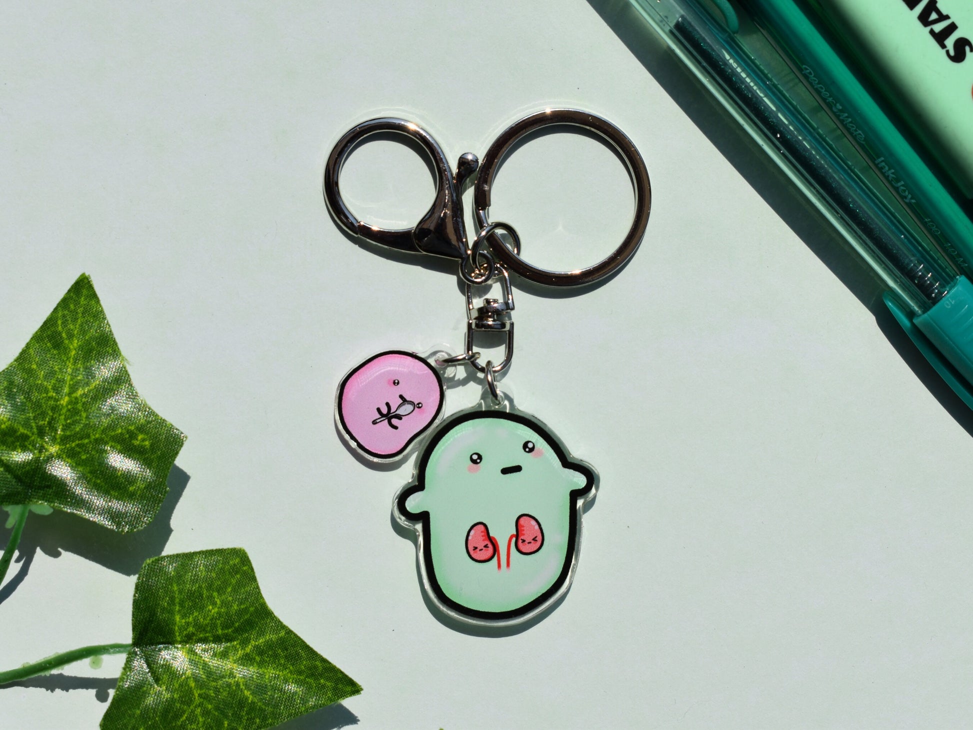 Kidney condition bean 1.5" acrylic charm keyring/keychain- lobster hook clasp and mini spoonie bean charm, kidney disease awareness